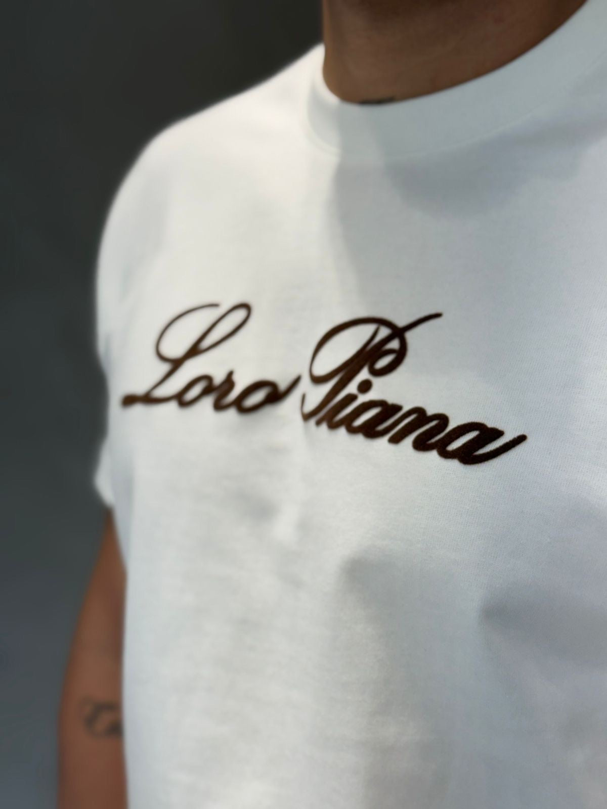 CAMISETA 172 LORO PIANA PECHO